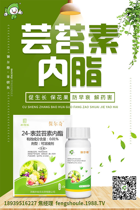 苦瓜苗怎么嫁接？苦瓜嫁接高產(chǎn)種植技術(shù)！