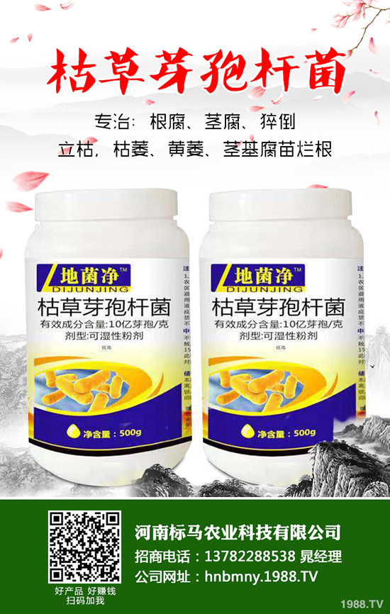 苦瓜怎么施肥，苦瓜施肥要點有哪些？