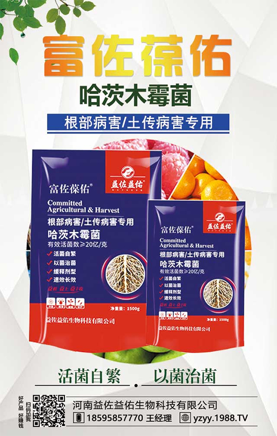 芋頭都有什么營養(yǎng)價值？吃芋頭有什么好處？