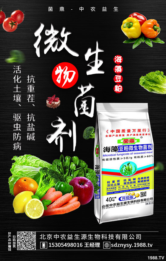     ���@�Ј����w���F(xi��n)ƽ�o��2020-5-12����������@�r�����������