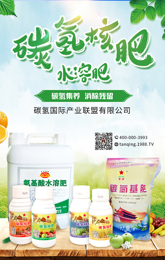     5�¿��ԷNʲô����5���߲˷Nֲָ�ϼ���ע�������