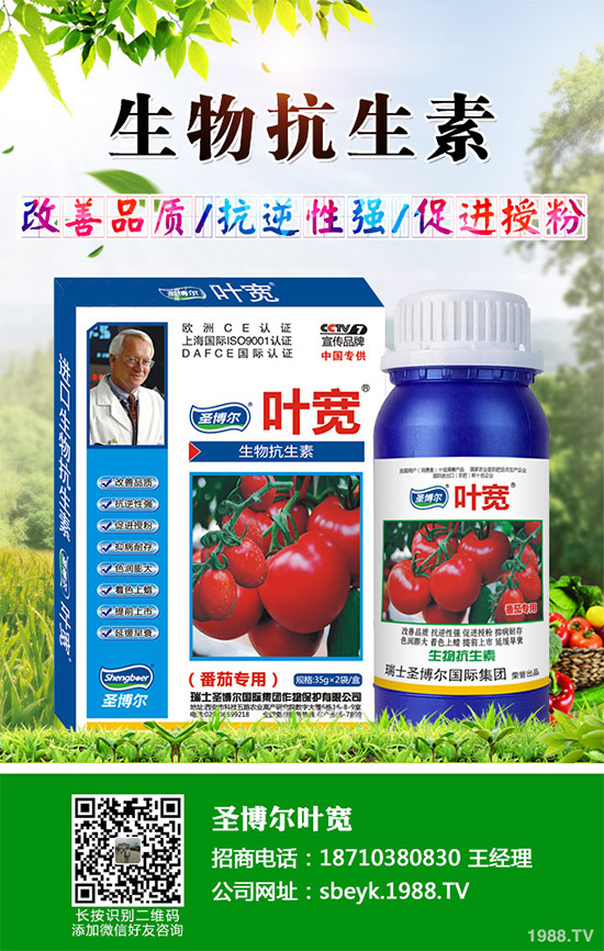 ���ﱡƤ���ԓ�����������Ƥ��ϸ߮a(ch��n)���༼�g(sh��)