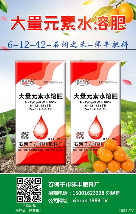 黃瓜嫁接好在哪里？有何優(yōu)勢？黃瓜嫁接的流程及注意事項