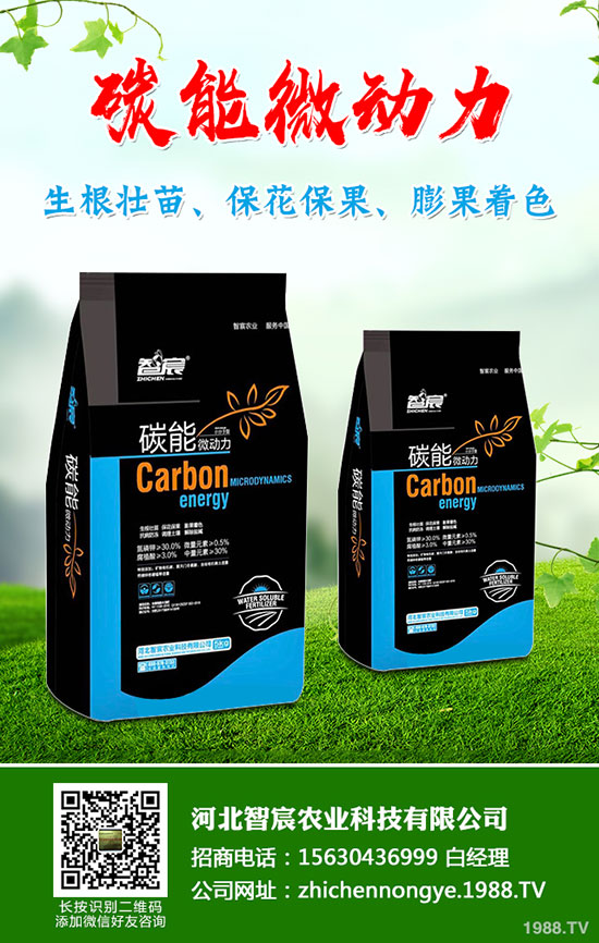 5����(n��i)�׷��Ј���ȥ�Ώ�������һ�@���@�r�������߄��A�y��