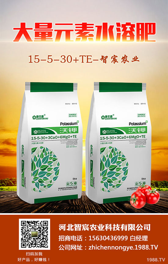 ����F��ô�B(y��ng)������F���B(y��ng)ֳ������ע�����(xi��ng)