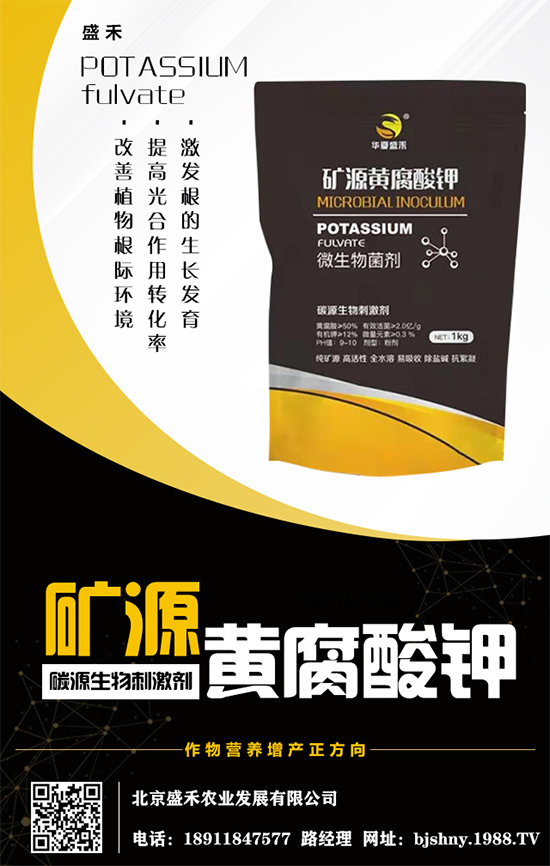     ����⛷�(w��n)���\(y��n)����2020.05.16⛷ʃr(ji��)�������߄�(sh��)������