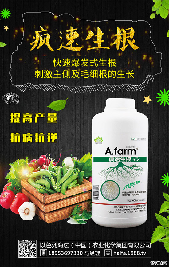 葡萄裂果是啥原因？該如何預(yù)防？葡萄裂果的原因和防治方法