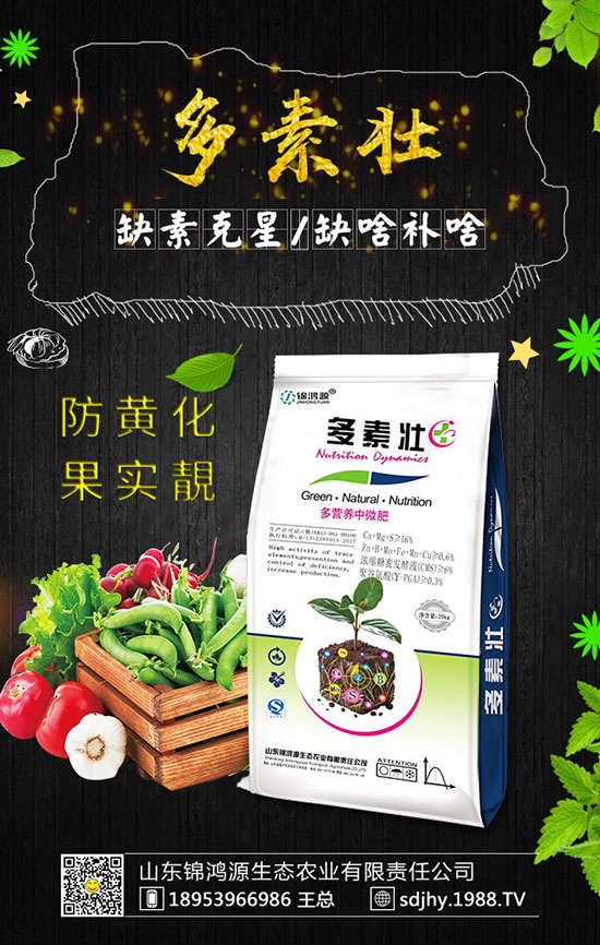 火龍果育苗方法有哪些，火龍果育苗要點(diǎn)及苗期管理！