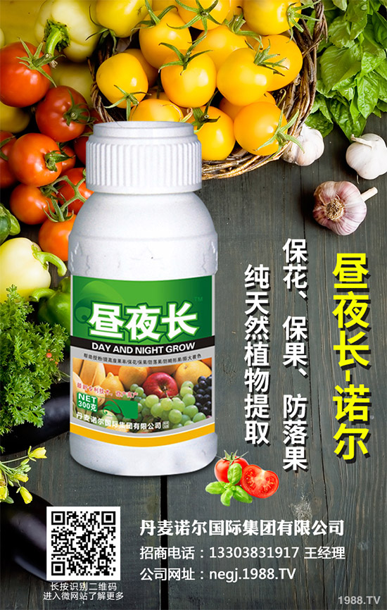 夏芹菜什么時(shí)候種植？該如何種植？夏芹菜高產(chǎn)種植技術(shù)
