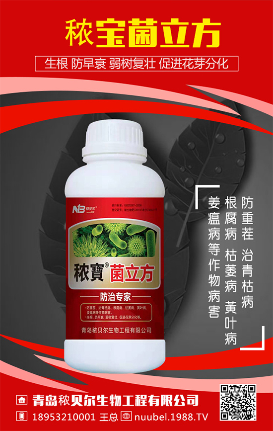 ���J��ô���N���������J�Ĳ��N���������L(zh��ng)�^�̣�