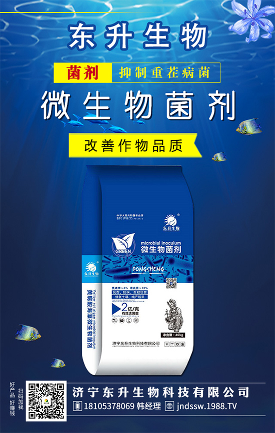 ���ƵĻ��Z(y��)��ʲô��ˮ����Ƶĵ��B(y��ng)�o(h��)������