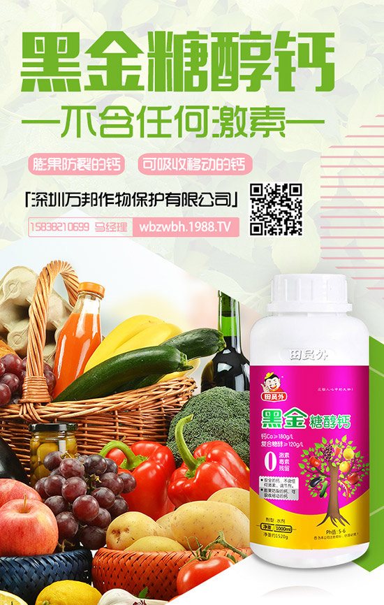 ���ڌ����������仨���ԓ��ô�k�������仨���ԭ�򼰷�ֹ��ʩ��