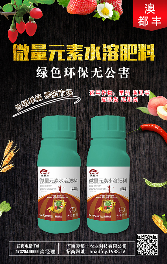 甜瓜什么時間種植好？甜瓜種植技術(shù)要點！