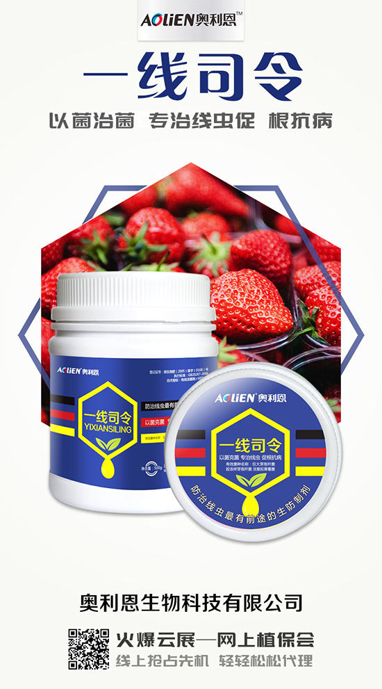 香瓜育苗期的水肥管理，香瓜施肥的注意事項(xiàng)！