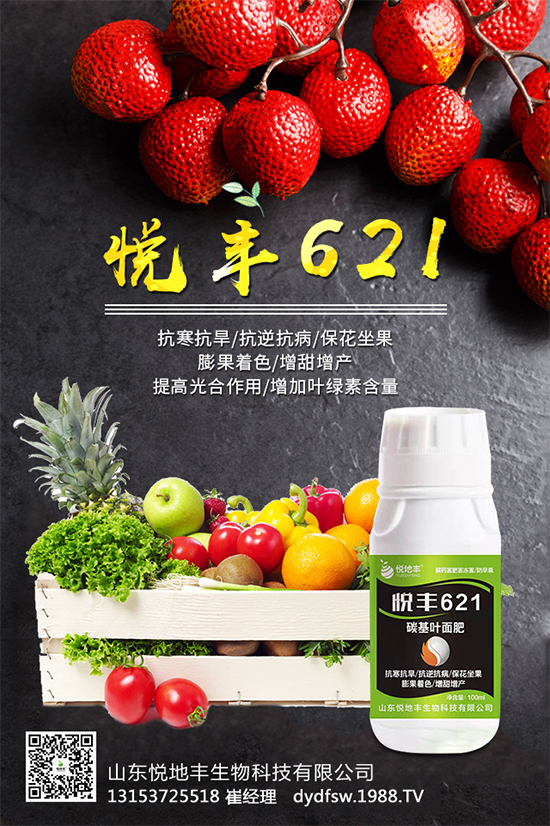 �t����֪��ԓ�����������