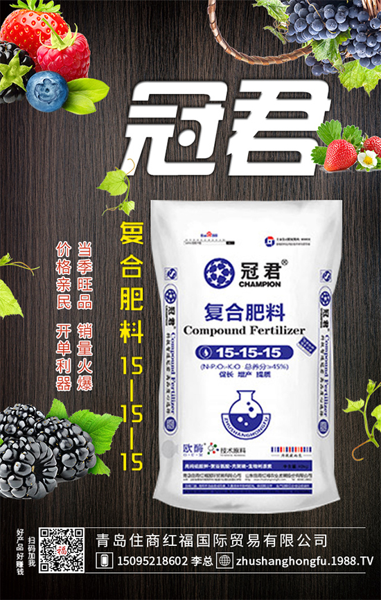 ���Ǥ��Nֲ���K�����K�Nֲע�������