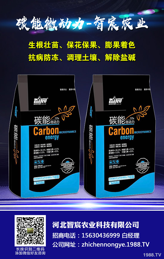 西瓜的需肥特性，西瓜施肥四禁忌！