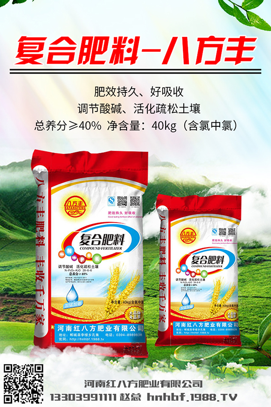  川貝母多少錢一克？川貝母的種植前景及種植技術(shù)！