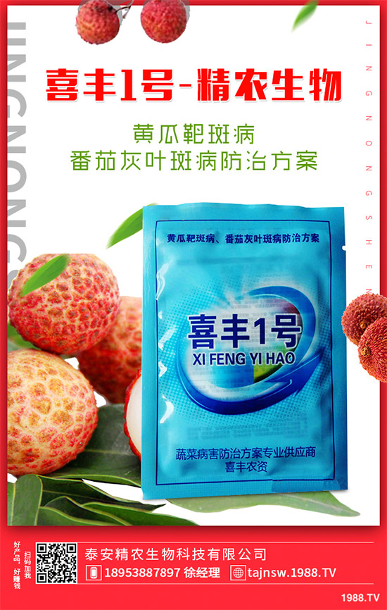 廣金錢(qián)草種植需要哪些條件？廣金錢(qián)草扦插育苗要點(diǎn)！