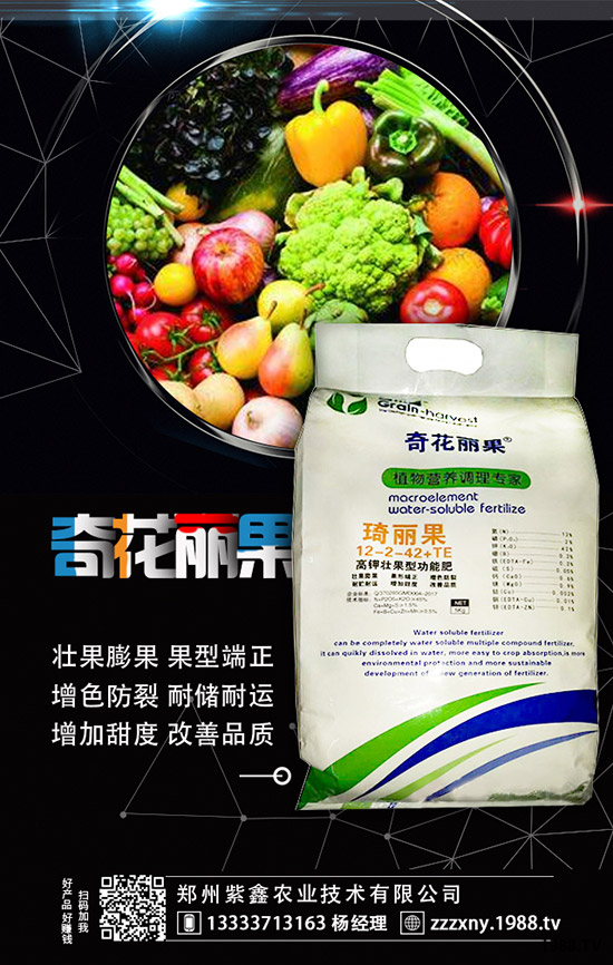 ��ݮĸ�綨ֲ������ʩ�������ӝ�ˮ��