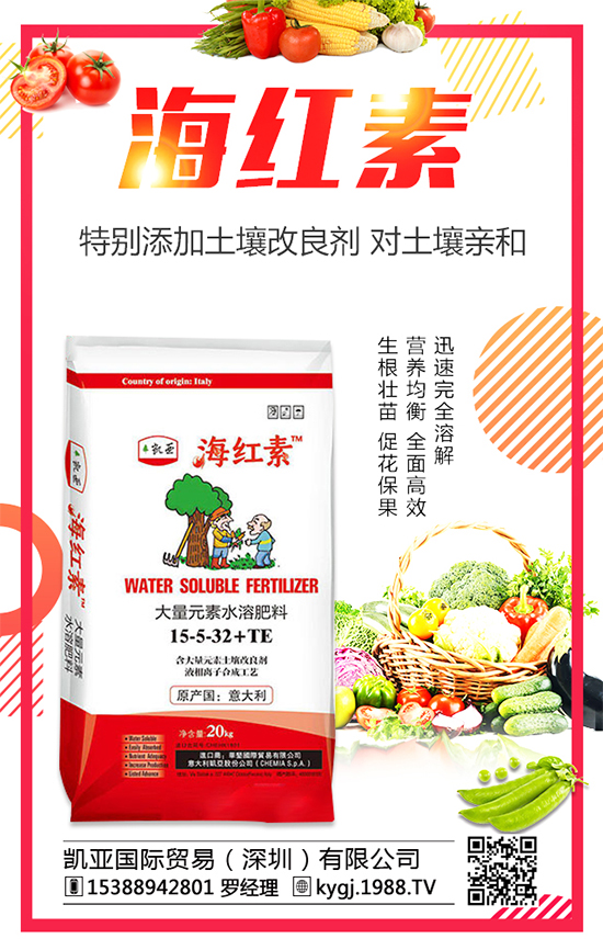 金錢草的產(chǎn)地分布在哪？金錢草種植注意事項！