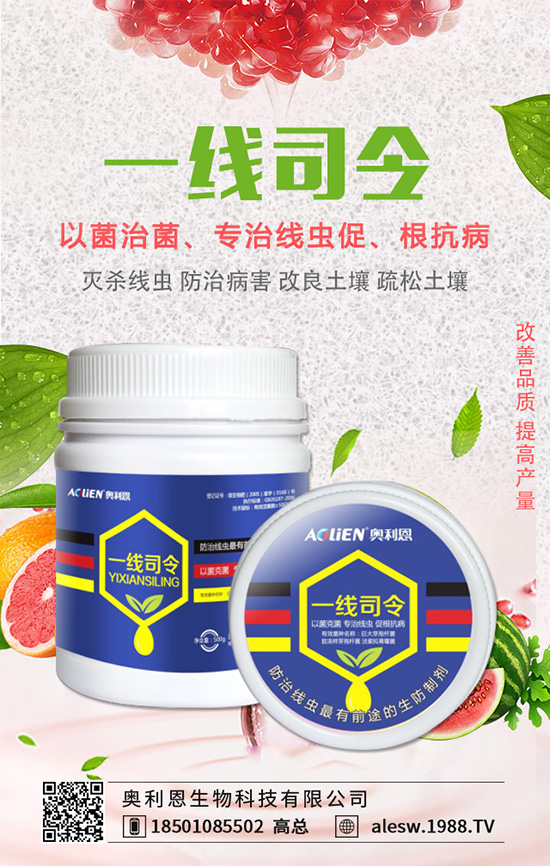 金錢草怎么養(yǎng)？金錢草養(yǎng)殖方法有哪些？