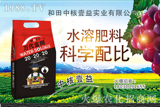 2020年種植哪些果樹更賺錢，果樹品種選擇注意事項！