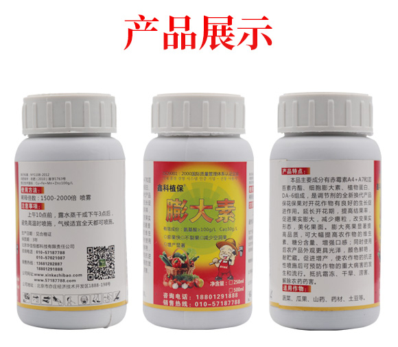 �����-�ο�ֲ��_04