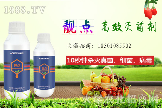 ����Ƭ��ʲô�������ԙ�����ʲô��̎��