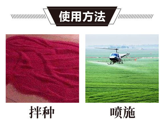 碳?xì)浜朔?金藻門(mén)-碳?xì)鋰?guó)際_05