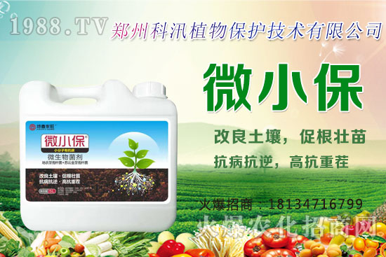 ����Ĺ�Ч�c�����������c�����Ă����РI�B(y��ng)��