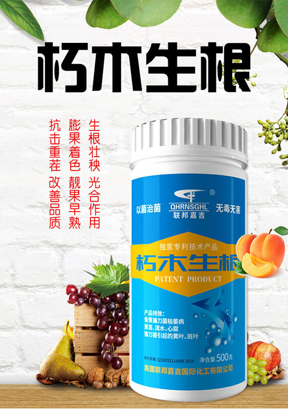 ��ľ����-(li��n)��μ�_01