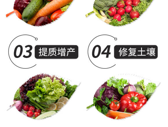 結(jié)晶腐植酸鉀-天壤一號(hào)-黑色生態(tài)_05