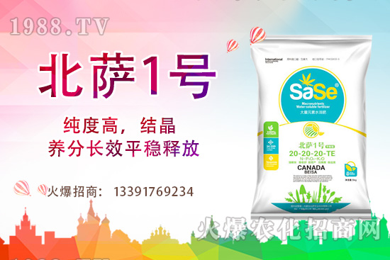 山茶花該怎么養(yǎng)，山茶花養(yǎng)殖方法和注意事項！