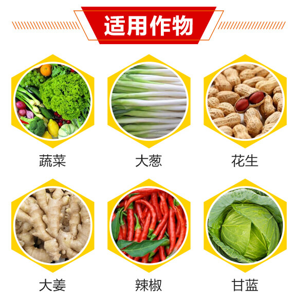 14%�x�������x��-������-��������_04