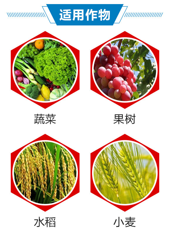 6%(li��n)�ա���x(ch��ng)��-������-��(r��n)������_04