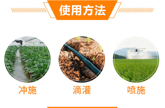 Goofuoˮ�ܷ�19-19-19+TE_05