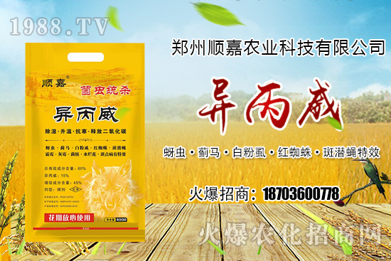 �����x�������ݵ�؝ҹ��������õķ���Ч��