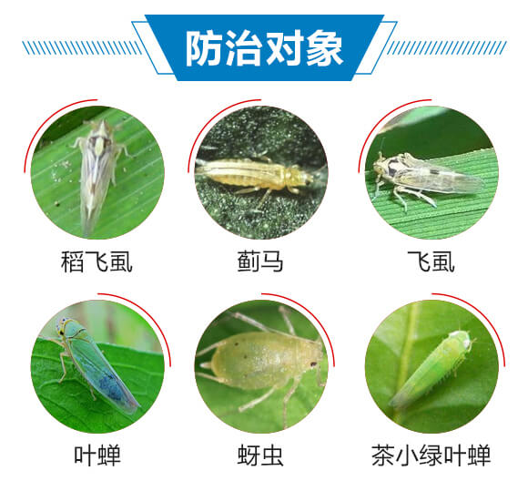 6%(li��n)�ա���x(ch��ng)��-������-��(r��n)������_03