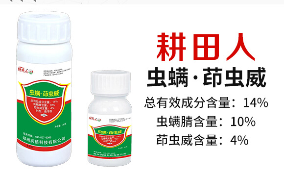 14%�x�������x��-������-��������_02