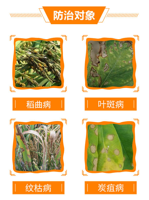 30%���ס��׾���-�P��-���r(n��ng)����_05