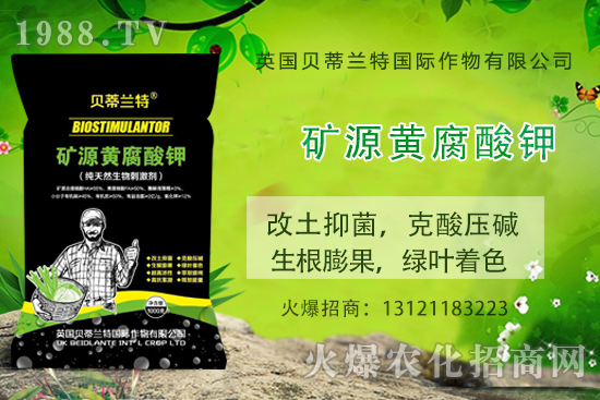 哈密瓜怎么種？哈密瓜種植應該注意哪些事項？