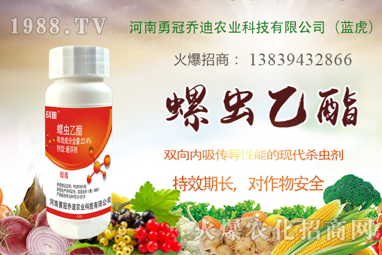 ���׽���x