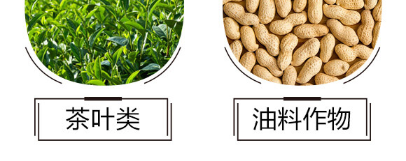 ̼?x��)�˷?�{(l��n)���T-̼?x��)���H_07