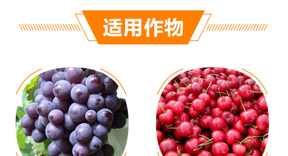 ΢��Ԫ��ˮ�ܷ���-⁳�ɫ-ϲ�ϼ�_06