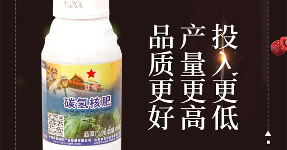 ̼?x��)�˷?�{(l��n)���T-̼?x��)���H_02