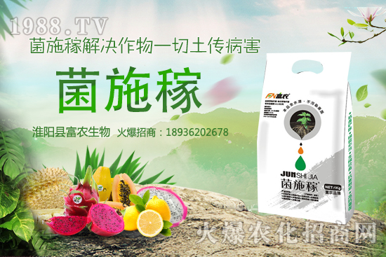 2020年農(nóng)村種野菜賺錢嗎？選擇哪些野菜品種效益高？建議收藏！