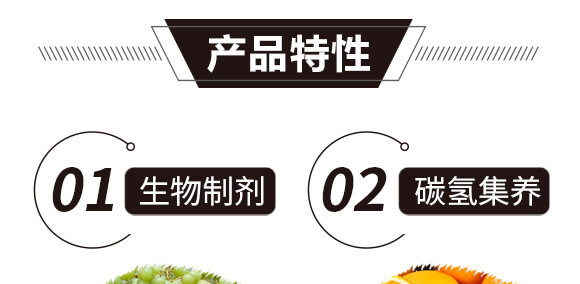 ̼?x��)�˷?�{(l��n)���T-̼?x��)���H_08