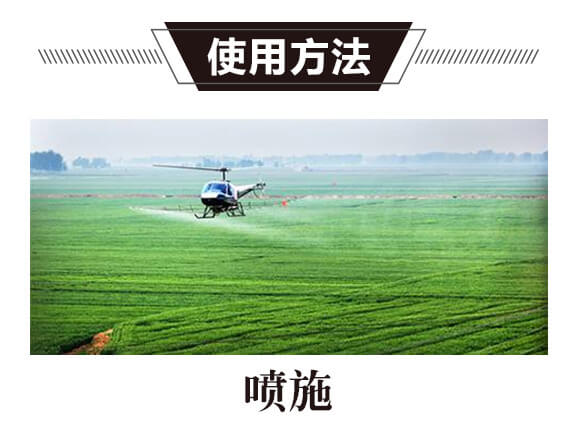 ̼?x��)�˷?�{(l��n)���T-̼?x��)���H_11