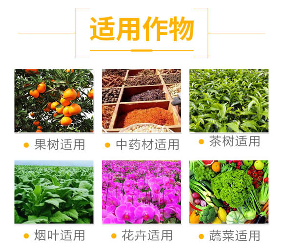 ���}������S�����-ʩ��ɭ-��ɭ��_04